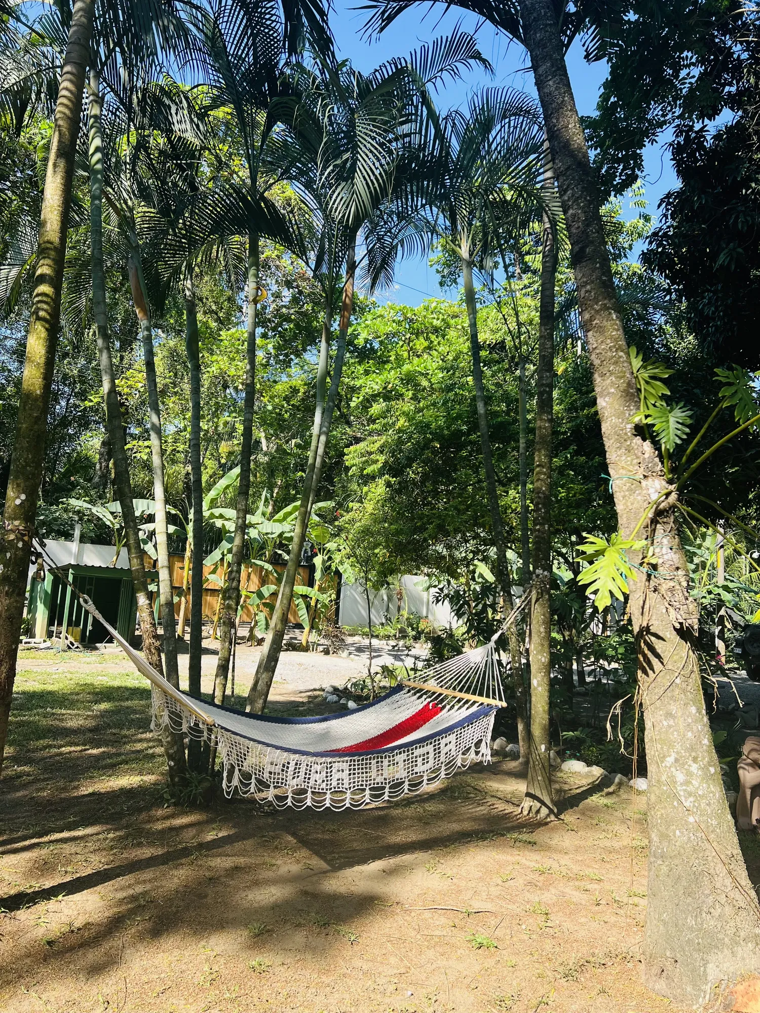 Tropical jungle surroundings at Sea Señorita Villa